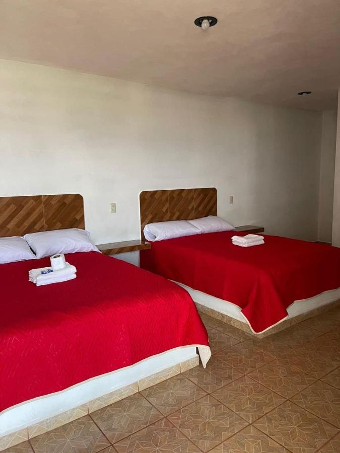 Rebolledo Imperial Hotel San Cristobal  Kültér fotó