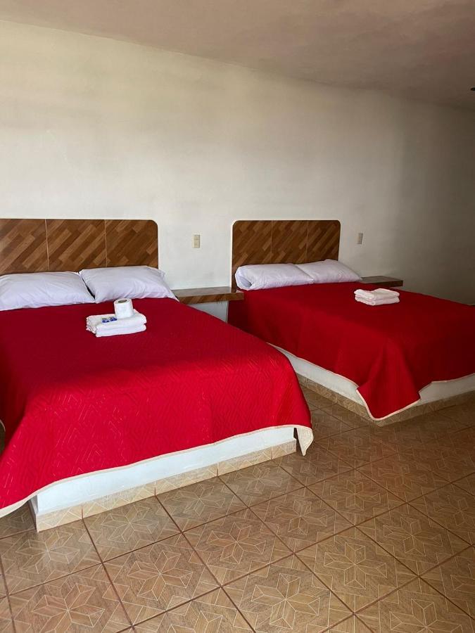 Rebolledo Imperial Hotel San Cristobal  Kültér fotó